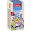 APOTHEKE Čaj na prostatu a močové cesty 20 x 1,5 g