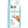 Brit Veterinary Diets GF dog Obesity 12 kg