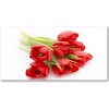 Moderný akrylový fotoobraz Červené tulipány 100x50 cm