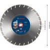 BOSCH 2.608.900.667