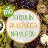 Herbarium Projekt 10 bylín, Ayurvéda na vlasy, no-poo šampón a vlasový zábal - 100g