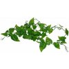 Lucky Reptile Jungle Vine Philo Vine cca 200 cm