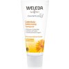 Weleda Dental Care zubná pasta nechtík 75 ml
