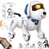 ROBOT PES DIAĽKOVO OVLÁDANÝ RC PROGRAMOVATEĽNÝ INTERAKTÍVNA EDUKAČNÁ HRAČKA