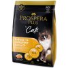 PROSPERA PLUS Indoor 1+ Salmon Long Hair Krmivo pre mačky 1 kus, Hmotnosť balenia (g): 2 kg