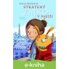 Stratený zajko v Paríži - Diana Mašlejová