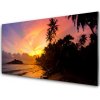 Obraz plexi More slnko palmy krajina 100x50 cm