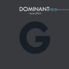 Thomastik Dominant PRO Violin G DP04