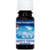 Ľadový vietor - vonný olej 10 ml
