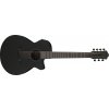 Ibanez AEG721 Black Out