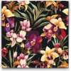 Vymalujsisam.sk Maľovanie podľa čísiel - Kvetinové pozadie – orchidea Veľkosť: 50x50cm, Rám: Bez rámu, iba zrolované plátno