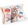 Darčeková skladacia krabička s mačkou - 4 varianty Farba: kotě s frkačkou
