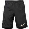 Pánske futbalové šortky Nike, ACADEMY čierna,biela M