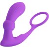 Pretty Love - Warren Violet Anal Ring & Vibrator