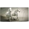 Sablio Uterák Dva biele koňe - 50x100 cm