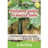 E-kniha Pěstujeme rostliny na balících slámy - Benjamin Busche