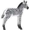Mojo Zebra mláďa