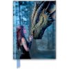 Anne Stokes: Once Upon a Time (Foiled Journal)