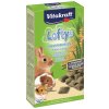 Vitakraft all Rodent poch. Loftys 100 g