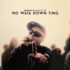 No Wata Down Ting (Mungo's Hi-Fi) (Vinyl / 12