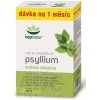 topnatur PSYLLIUM VLÁKNINA krabica prášok (dávka na 1 mesiac) 1x300 g