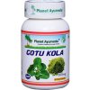 Planet Ayurveda Gotu Kola Kapsuly - Pamäť, Koncentrácia, Depresie 500mg 60 kapsúl