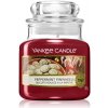 Yankee Candle Peppermint Pinwheels vonná sviečka 104 g