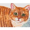 Diamondi Diamantové maľovanie - BÉŽOVÁ MAČKA A ZELENÉ OČI Rámovanie: vypnuté plátno na rám, Rozmer: 40x50 cm
