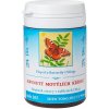 MÁVNUTIE MOTÝLICH KRÍDEL - Shen tong zhu yu wan mod. - TCM Herbs Objem: 100 tabliet / 30 g
