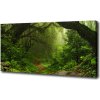 Foto obraz tlačený na plátne Prales v Nepále 100x50 cm