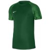 Nike Dri FIT Academy dres dh8031 302