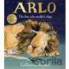 Arlo The Lion Who Couldn't Sleep Rayner Catherine