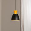 BEGA Závesné LED svietidlo Studio Line 51229, čierna/mosadz, Ø 20 cm