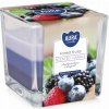 Bispol Forest Fruits 170 g