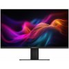 LCD monitor 24