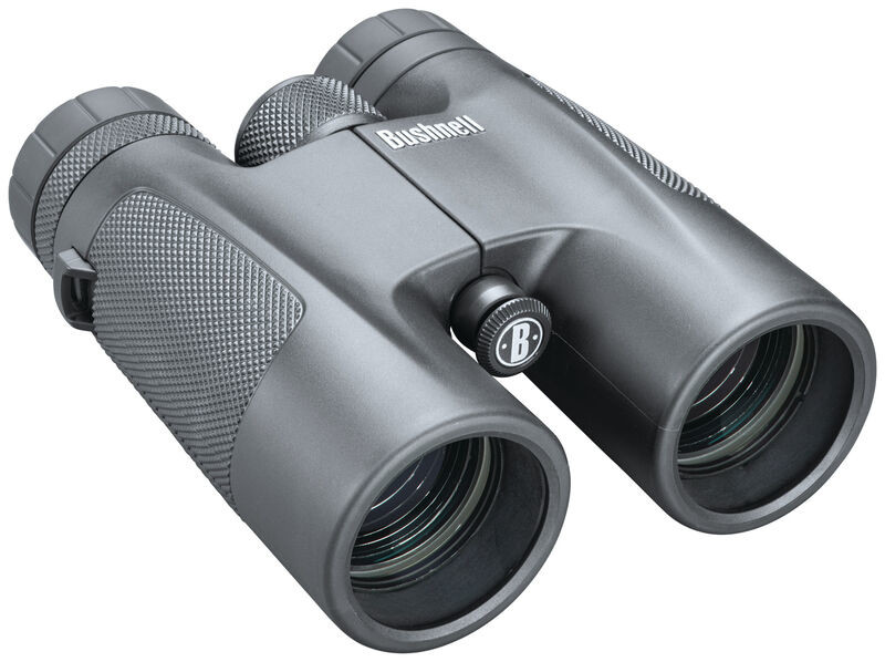 Bushnell POWERVIEW ROOF 10X42
