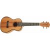 CASCHA HH 2035 Concert Mahogany Ukulele Sada