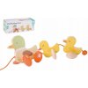 Teddies kačica s káčatko ťahacie v krabici 32x12x11cm