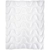 Gordon Standard mikrovlákno biela Antialergická prikrývka 200x220