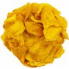SVĚT PLODŮ Jackfruit sušený plátky - 10kg (4x2.5kg)