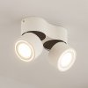 Arcchio LED stropné bodové svietidlo Rotari, biele, 2 svetlá, 1140lm - 9822033