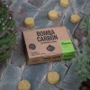 Herbarium Projekt CITRONELA - POMARANČ, repelentná uhlíková bomba na vydymovanie, 1ks