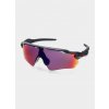 Oakley Radar EV Path OO9208