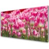 Sklenený obklad Do kuchyne Tulipány kvety príroda 100x50 cm