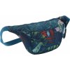 NITRO HIP BAG 2