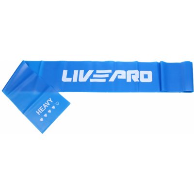 LivePro Resistance LP8413