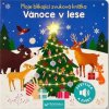 Moje blikající zvuková knížka Vánoce v lese - Kasia Dudziuk