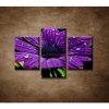 Fialový kvet - 3dielny 90x60cm
