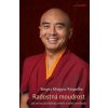 Radostná moudrost - Yongey Mingyur Rinpočhe