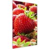 Vertikálny foto obraz akrylový na stenu Jahody 50x100 cm